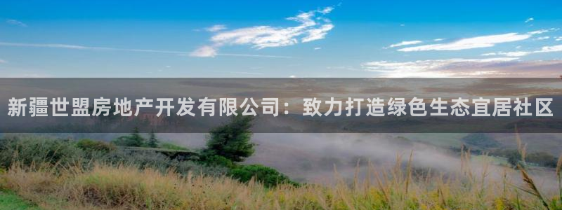 为什么永利会打不开了