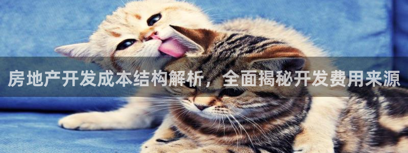 永利汇团购