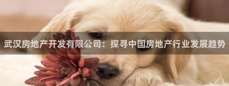 永利汇客房价格