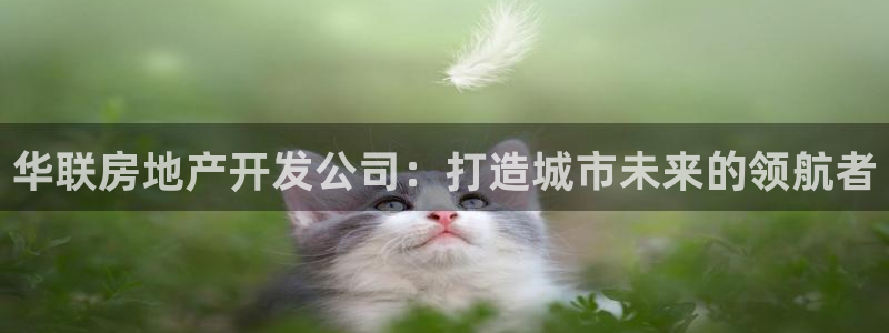 永利皮具lv工厂