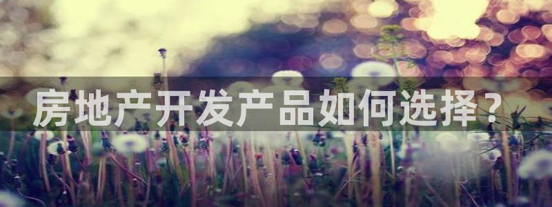 3044am永利集团公司背景