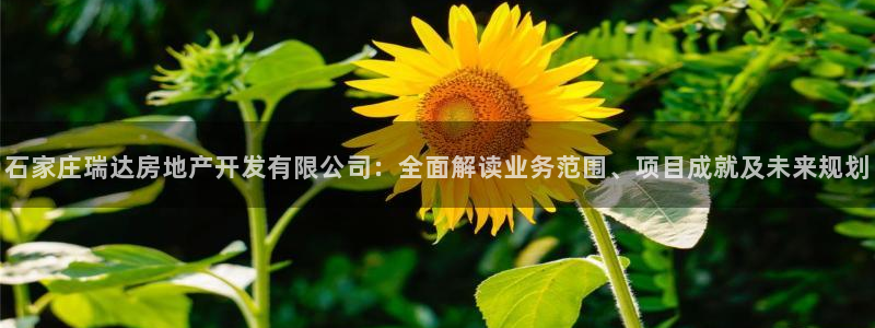 永利nev可靠吗