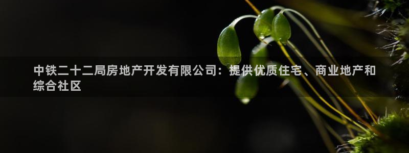 永利公司简介