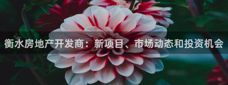 永利股份公司
