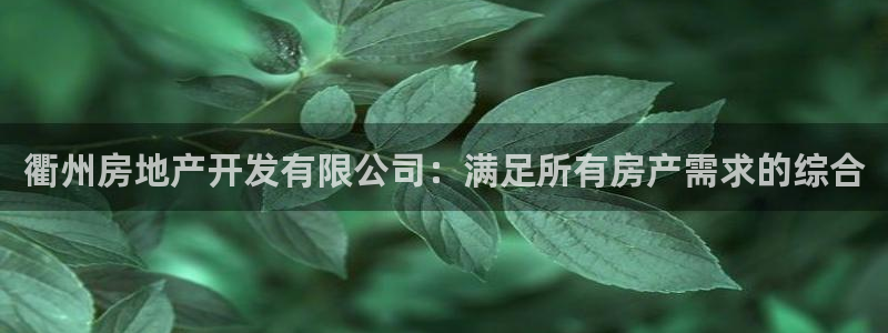 永利房地产有限公司董事长是谁