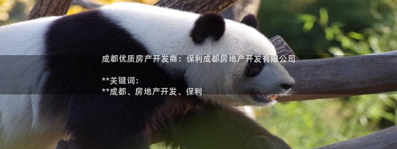 永利皮带官网旗舰店地址