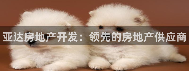 鄂州永利房地产怎么样