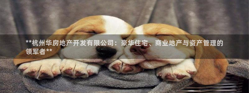 永利房地产有限公司董事长是谁