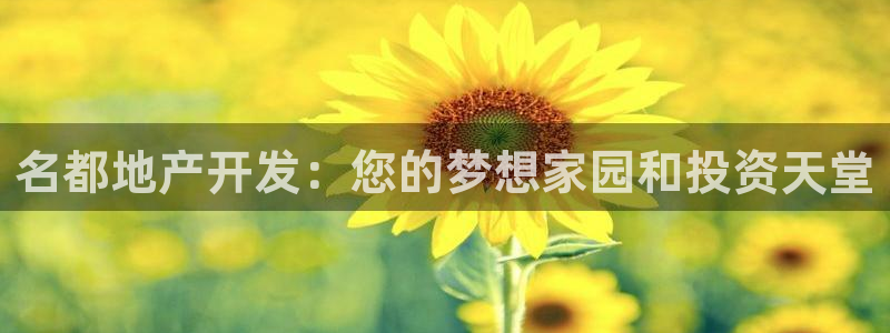 澳门永利集团简介
