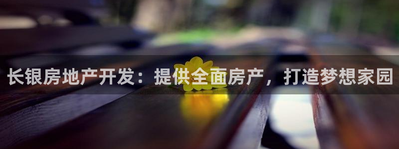 永利集团董事长什么级别