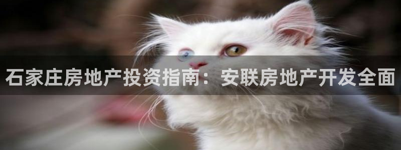 永利塑胶有限公司