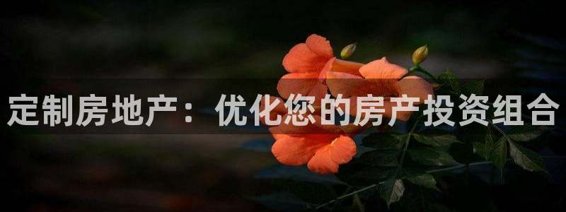 永利背一分