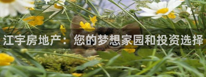 苏州金沙永利怎么样
