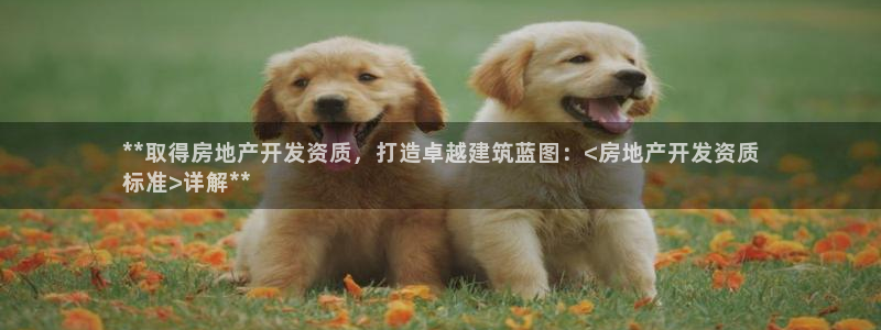 永利皮具厂