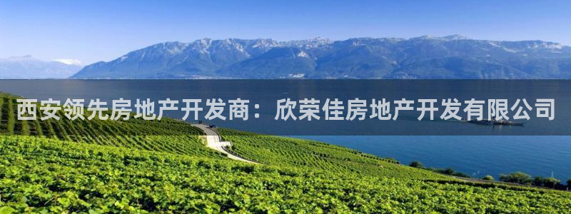 永利网是干什么的,能挣到钱吗是真的吗