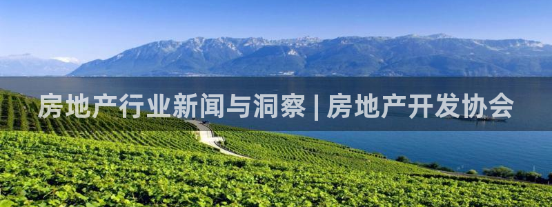 永利集团简介概况