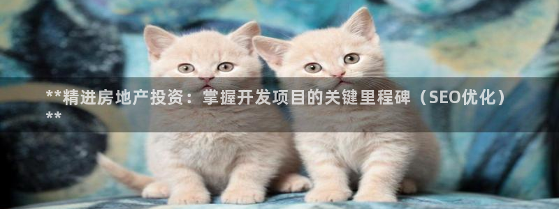 永利有限责任公司