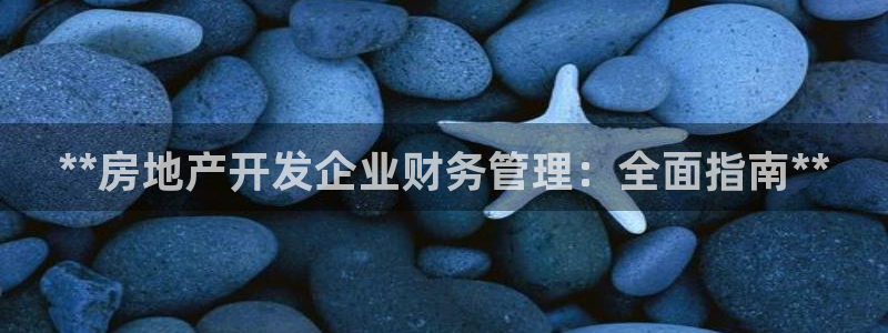 永利金控控股有限公司
