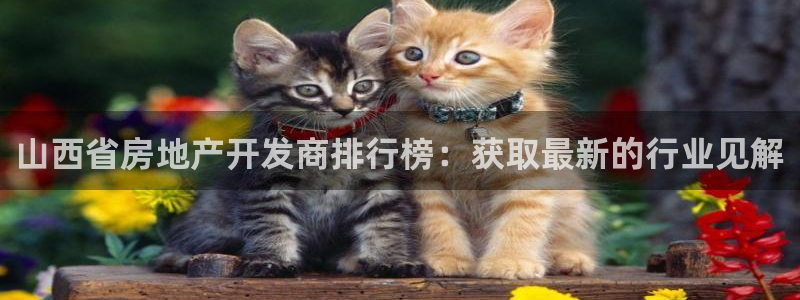 永利 澳门