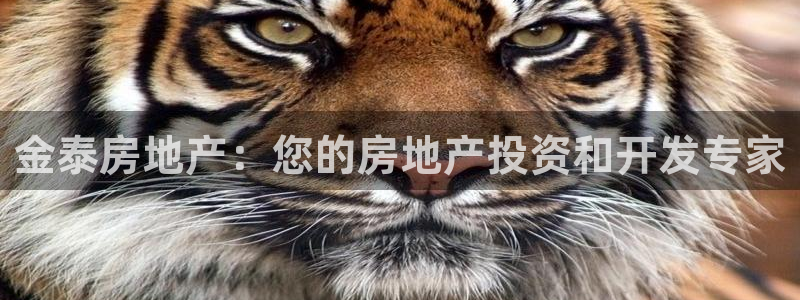 佛山王永利工业皮带有限公司