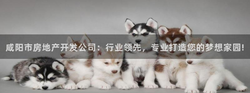 永利输送带