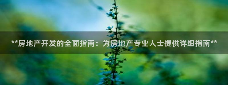 佛山永利工业皮带有限公司