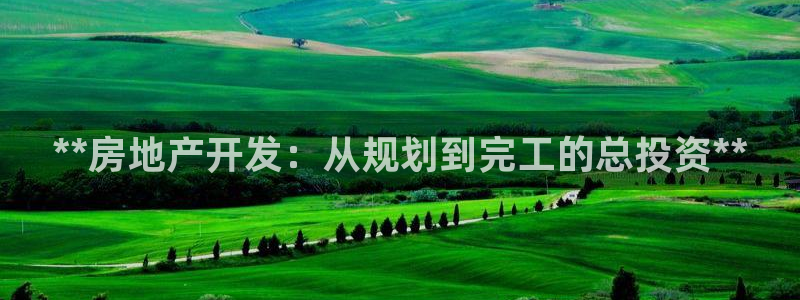 永利公司是做什么的