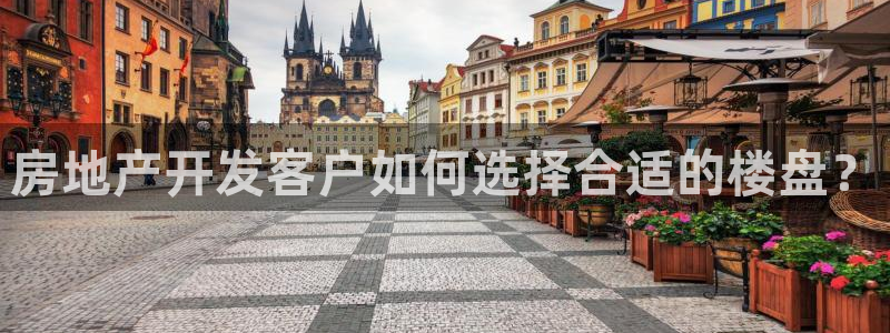 永利背五厘正常价格