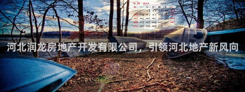 永利皮带报价查询