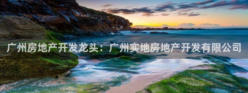 永利皮带官网价格查询系统