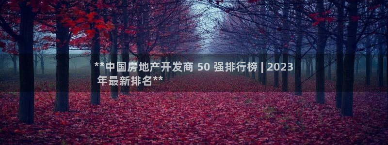永利建筑工程有限公司董事长