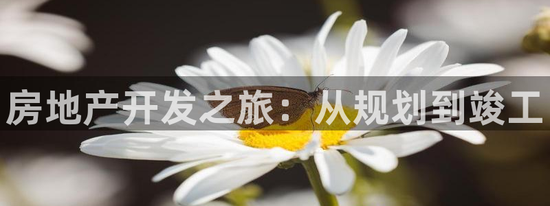 永利皮带型号说明书