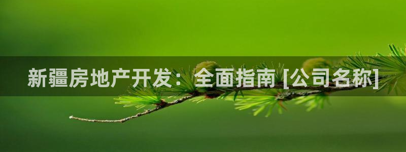 金沙永利夜总会怎么样