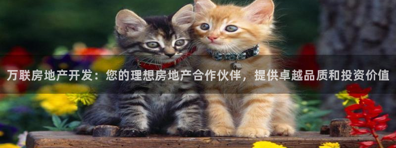 永利游乐城网址查询