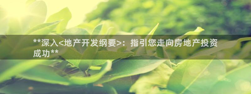 永利鞋业