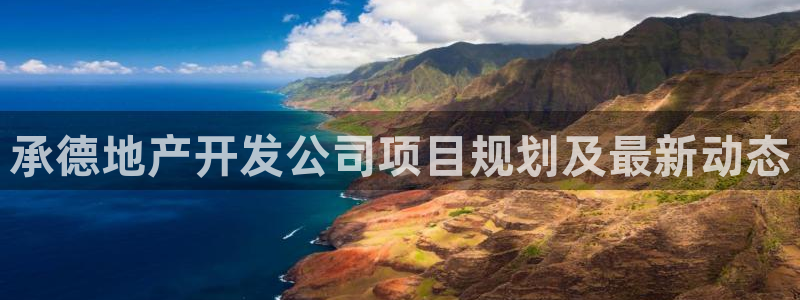 永利地产工程有限公司