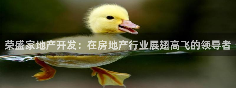 永利房地产有限公司董事长是谁