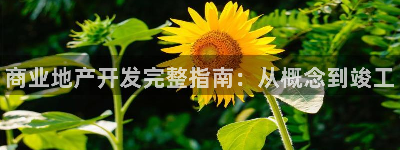 永利投资合法吗