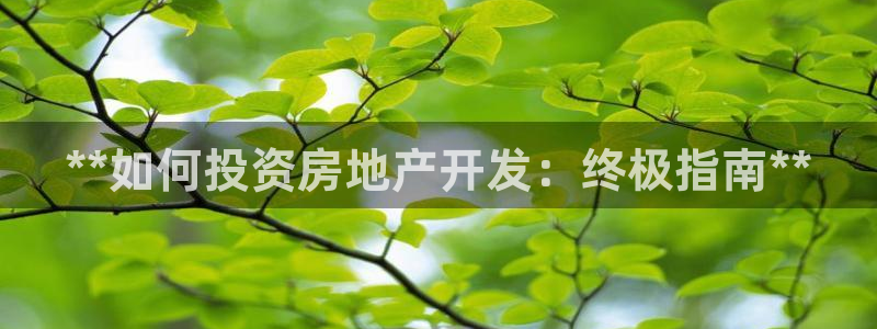 永利玩具厂怎么样