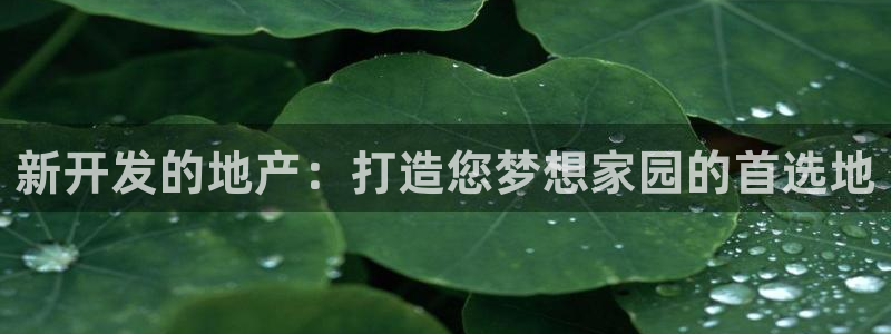 永利皮带型号说明