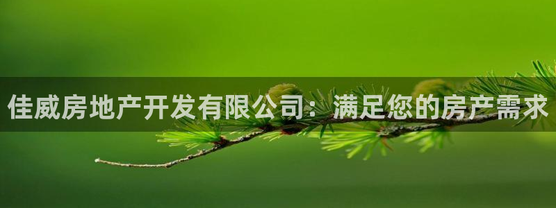 永利正版