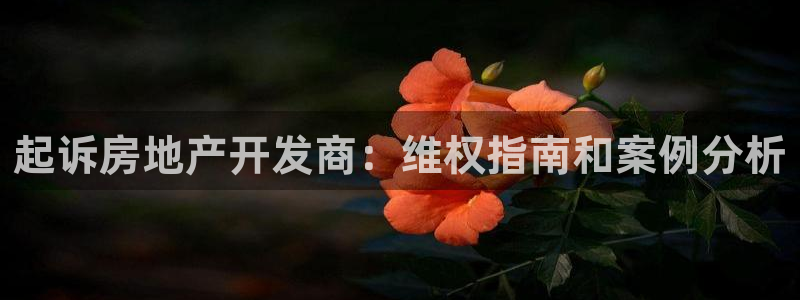 永利批发市场在哪里