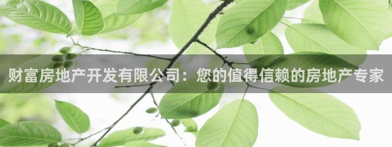 佛山王永利工业皮带有限公司