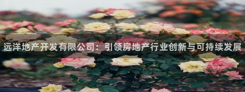 永利皮带型号