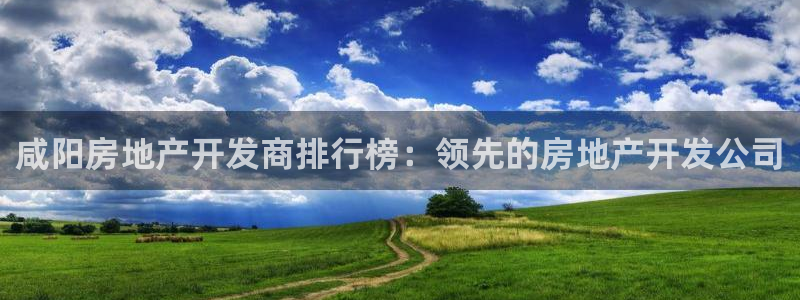 永利二维码推广