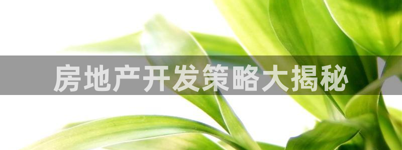 佛山永利工业皮带厂招聘