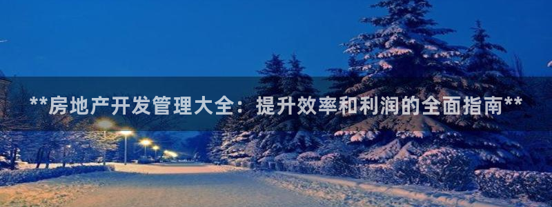 永利皮带报价