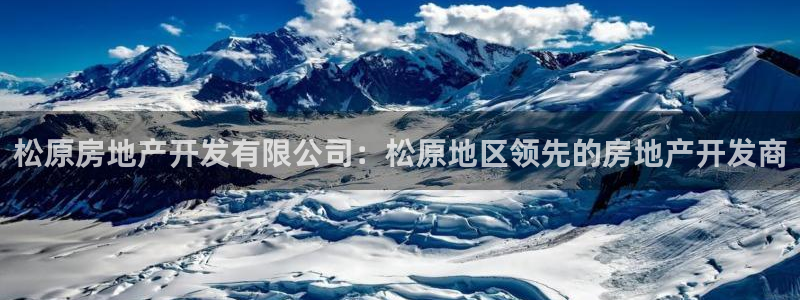 永利股份有限公司