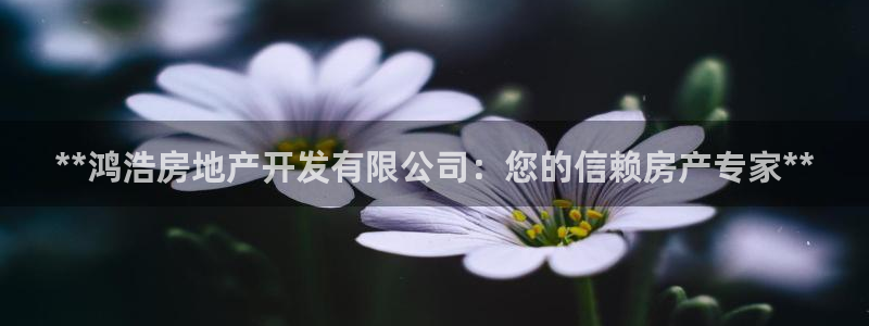 永利饭店老板是谁