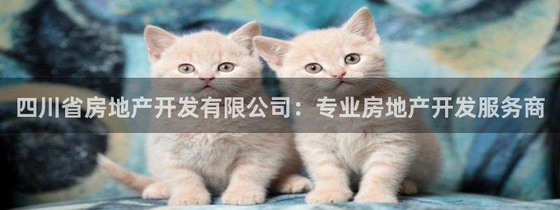 永利皇府黄立青身价